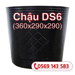 Combo 10 chậu nhựa mềm đen ds6 lợi dân