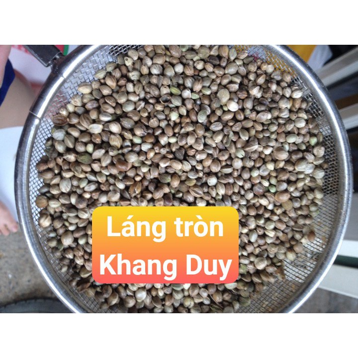 Hạt láng tròn To hạt Hemp 1kg