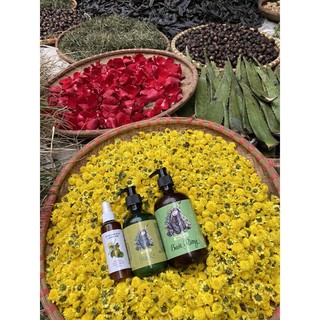 [Mộc Nhan-Natural] Dầu gội bưởi rừng Mộc Nhan