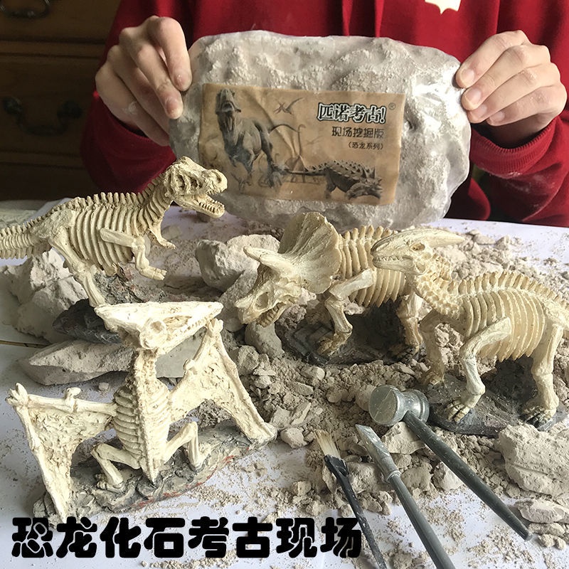 Đồ Chơi đào tạo Khảo cổ. Đồ Chơi Mô Hình Khai Quật Khủng Long Tyrannosaurus rex Cho Trẻ Em