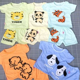 Set 5 bộ bé gái cotton ngắn tay quần đùi