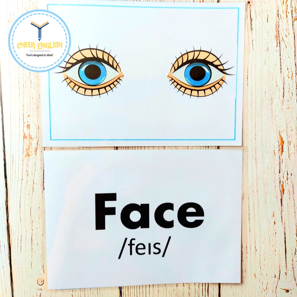 Flashcard chủ đề bộ phận cơ thể thẻ học Tiếng Anh ép plastic