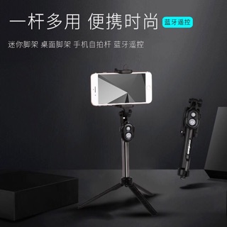 Cây tự sướng