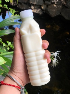 Sữa chua & sữa tươi từ sữa bò vắt