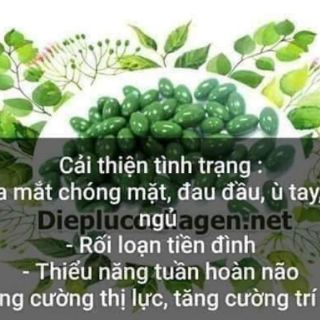 Diệp lục OMEGA 369
