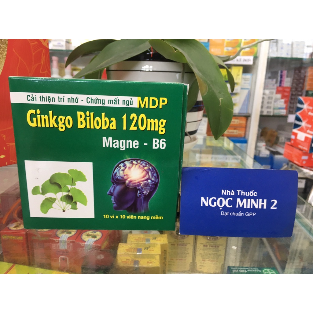 ✅ [Chính Hãng] Ginkgo Biloba 120mg cải thiện trí nhớ chứng mất ngủ