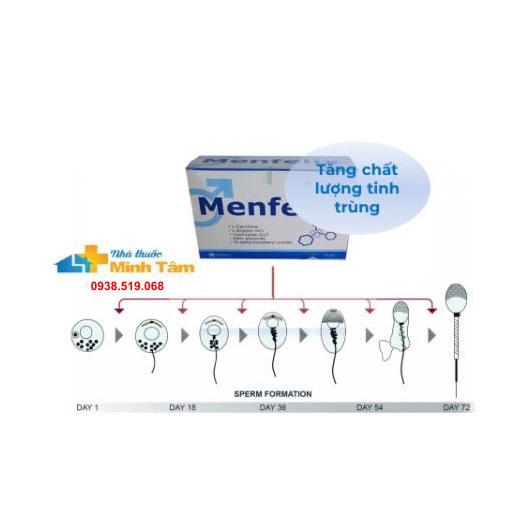 MENFELIX dành cho phái mạnh