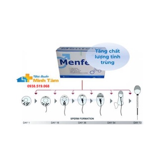 [TẶNG VITAMIN E ĐỎ] MENFELIX dành cho phái mạnh