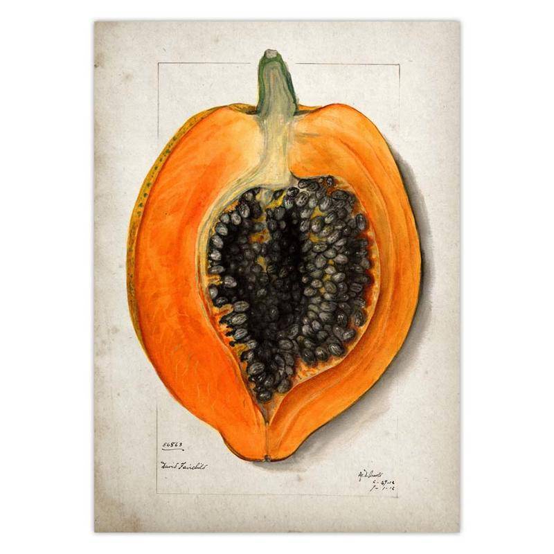 Tranh Vải Bạt Treo Tường In Hình Quả Lê Quả Lê Cổ Điển Trang Trí Nhà Bếp