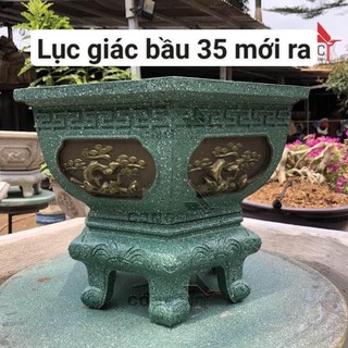 Khuôn đúc chậu lục giác 35 bầu kèm chân đôn kỷ mẫu cây tùng