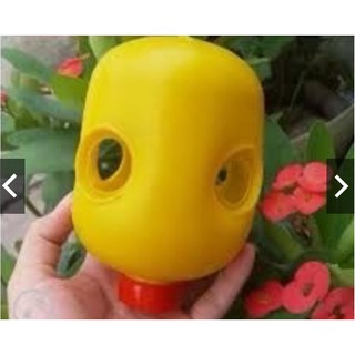 Bộ 5 đèn treo bẫy ruồi vàng