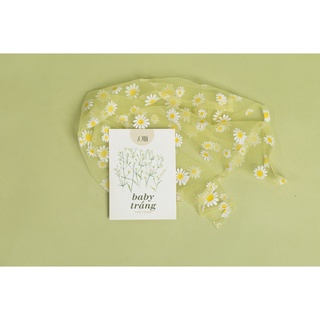 Hạt giống non-gmo - baby trắng | non-gmo seed baby's breath