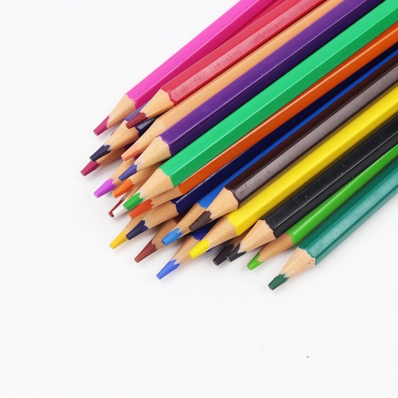 Bút chì màu cây 12/24 xoá được stacom mẫu mới cho bé CP012E