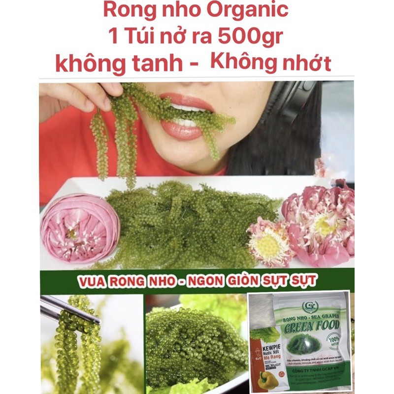 Bán sỉ Rong nho tách nước cao cấp Green food túi Zip 100gr | BigBuy360 - bigbuy360.vn