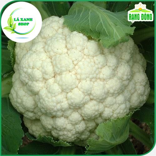 Hạt giống Bông Cải Trắng Lai F1 (Súp lơ trắng) (gói 0,5 gram)- Hạt giống Rạng Đông