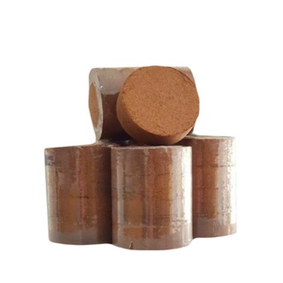 Đất nén mụn dừa dinh dưỡng.