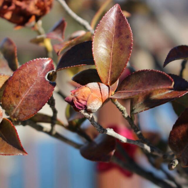 Kho sỉ_gia dụng, Cửa hàng trực tuyến | BigBuy360 - bigbuy360.vn