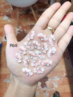 Hoa bột- cúc ruby - hoa đính móng