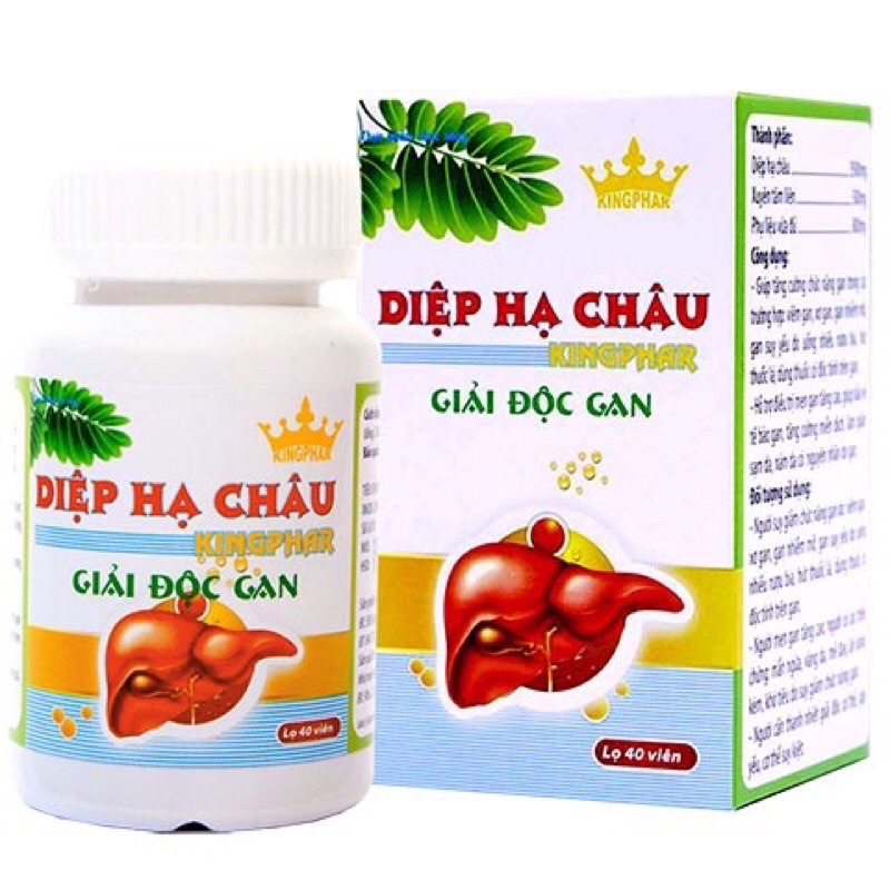 Diệp Hạ Châu Kingphar - Hỗ trợ bảo vệ gan - Giúp tăng cường chức năng gan