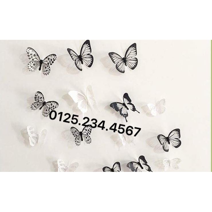 Decal dán tường Bướm 3D đen trắng