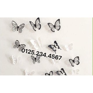 Decal dán tường Bướm 3D đen trắng