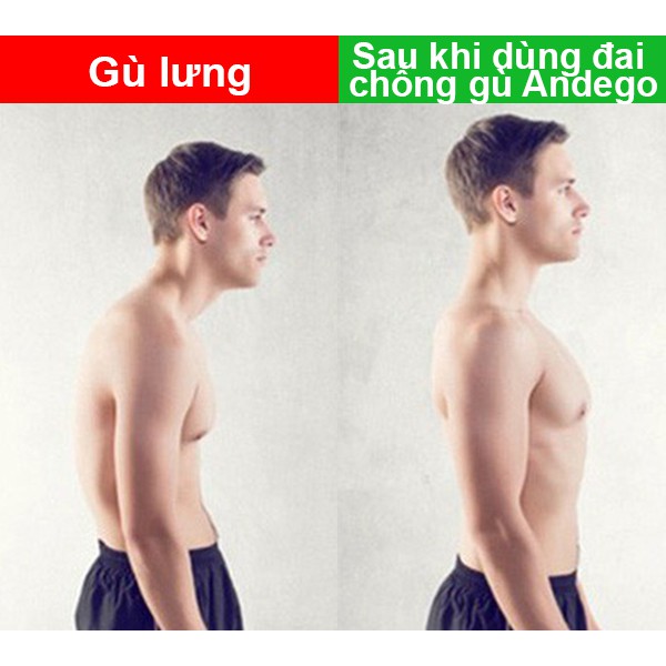 [FULLBOX-BH12THANG] Đai Chống Gù Lưng Andego , Sản phẩm đóng hộp cao cấp , Cải Thiện Tư Thế Rõ Rệt Sau 3 Tháng | BigBuy360 - bigbuy360.vn