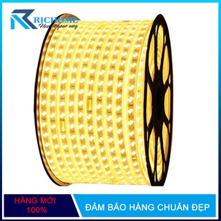 Led dây đôi 5730 siêu sáng 2 hàng bóng chéo hắt trần cao cấp 1 mét