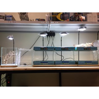 Đèn LED 9W ánh sáng trắng (loại gắn đế gỗ)