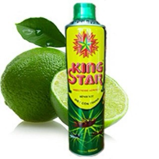 Bình xịt côn trùng King star 600ml