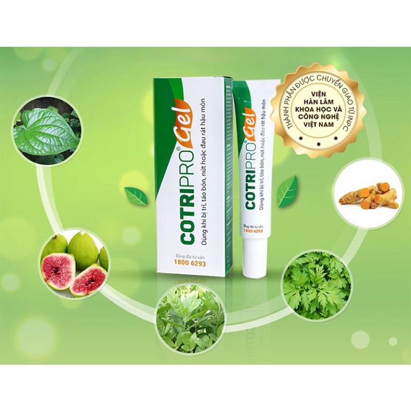 COTRIPRO gel bôi trĩ