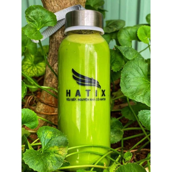 Máy ép chậm Hatix C6 - Kèm quà tặng - Bảo hành 12 tháng tại Việt Nam