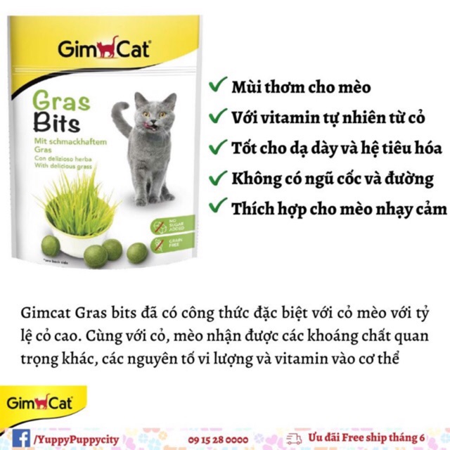 [𝐆𝐢𝐚́ 𝐡𝐮𝐲̉ 𝐝𝐢𝐞̣̂𝐭] Gimcat Treat cỏ tốt cho tiêu hóa 140gr cho mèo