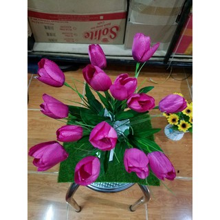 Bình hoa tulip