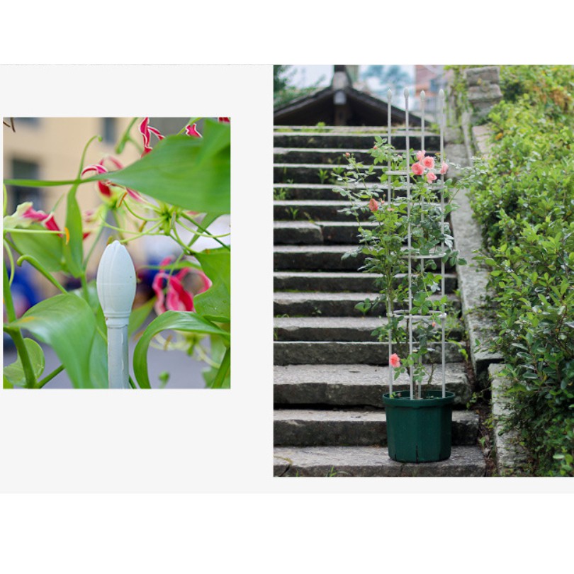 Khung đỡ màu trắng cho cây leo và hoa Hồng 1.2m.1.5m