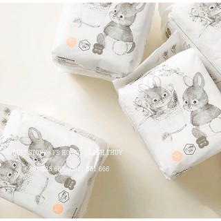 Bỉm quần Momo Rabbit L28/XL22/XXL18