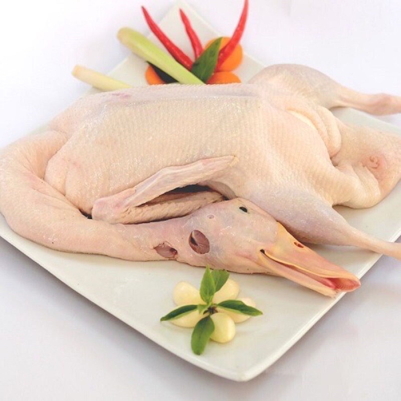 THỊT GÀ , VỊT TƯƠI SỐNG NGUYÊN CON