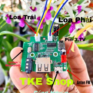 Mạch Bluetooth 4.2 Và Khuếch Đại Âm Thanh 2x5W