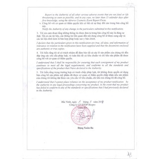 Mặt nạ yến Vychi