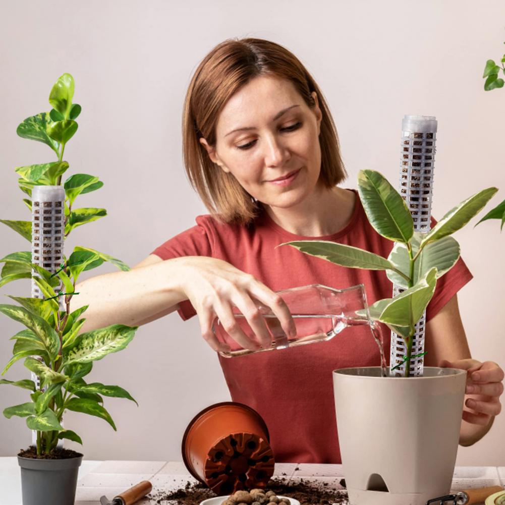 Khung Hỗ Trợ Trồng Cây Dây Leo Bằng Nhựa Tiện Lợi