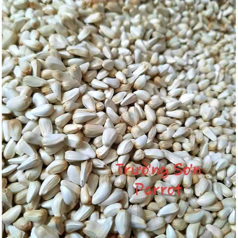 500g/1000g hạt Kham  cho chim vẹt, sóc, chuột, hamster...