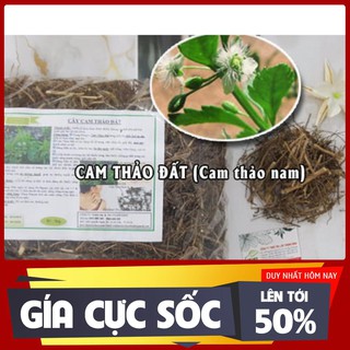 Combo 2Kg Cam Thảo Đất 100% Hữu Cơ - Dược Liệu Thanh Bình