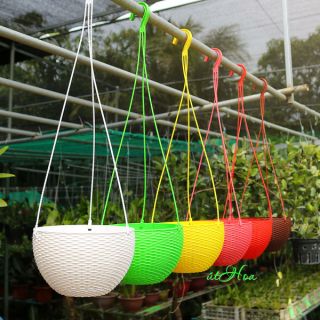 Combo 10 Chậu treo mây lớn (19x13 cm) dày dặn sắc sảo