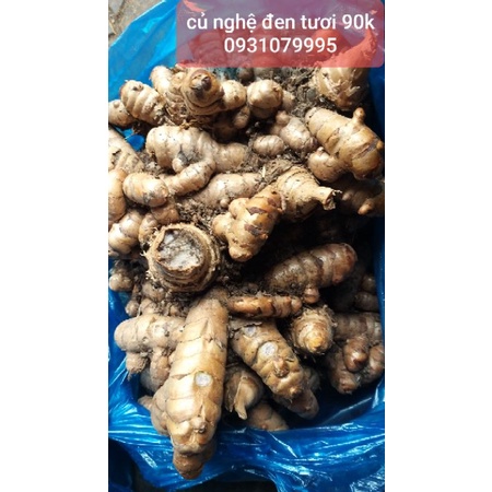 Củ nghệ đen tươi 1kg