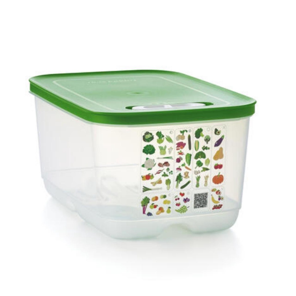 Bộ hộp trữ mát có nút hô hấp Tupperware Ventsmart 4  - Bảo hành trọn đời - Nhựa nguyên sinh an toàn sức khoẻ