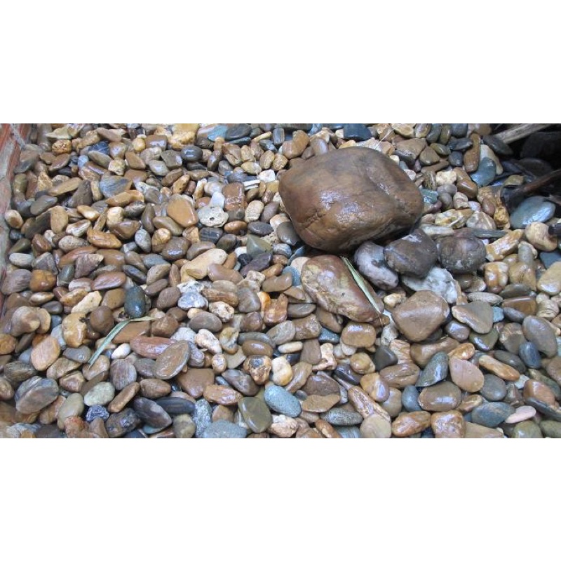 1kg sỏi cuội tự nhiên