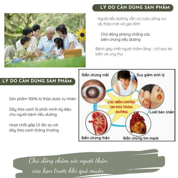 Cao dây thìa canh lá to Thực phẩm cho người tiểu đường tuýp 1, tuýp 2 , giảm mỡ máu , cây thìa canh LITIC 100g