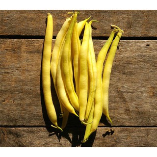 HẠT GIỐNG ĐẬU COVE BỤI VÀNG GÓI 50G