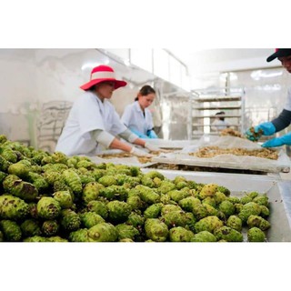 Trái nhàu khô 1kg