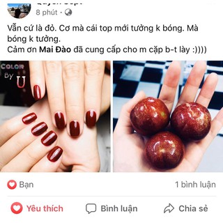 sơn base top mỹ 365.