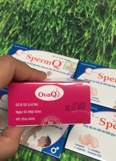 Combo ovaq 1 và spermq loại 30 viên | BigBuy360 - bigbuy360.vn
